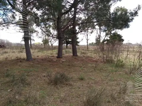 Calle El Cangrejo- Paraje Pavon-