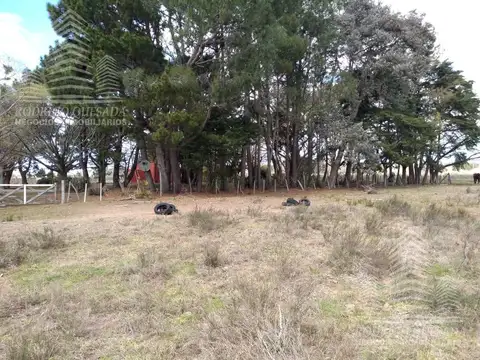 Terreno en Venta de 10000,0 m2