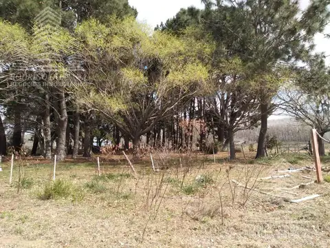 Calle El Cangrejo- Paraje Pavon-