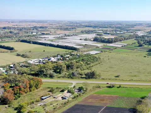 Chacra sobre Ruta en Robles