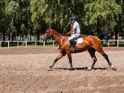 Terreno en Venta en San Diego, USD 550.000