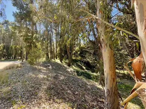 Terreno en Venta 30  mts Fondo