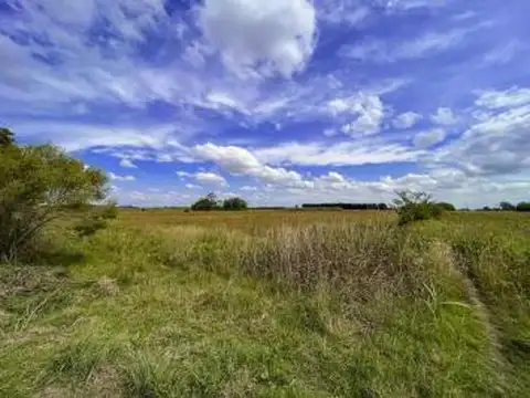 Camino Rural Campo Soso y El Hornero