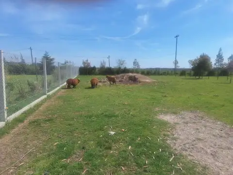 CALLE LABASELA GOMEZ BRANDSEN BARRIO LAS GOLONDRINAS