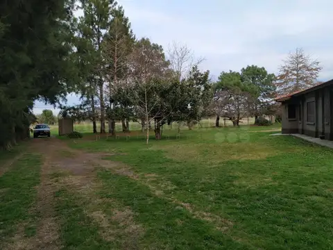 Quinta en Venta en Chascomus, USD 230.000