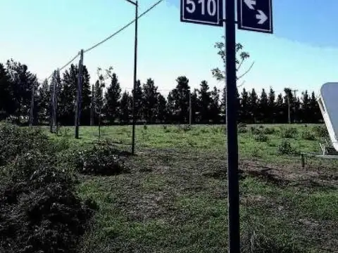 Terreno en Venta en Joaquin Gorina, USD 17.000