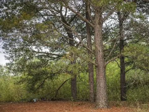 LOTE EN NUEVA ATLANTIS