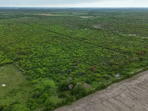 SE VENDE CAMPO GANADERO EN LA SARITA