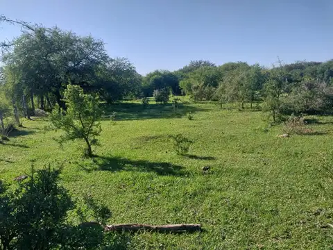 SE VENDE CAMPO GANADERO EN LA SARITA