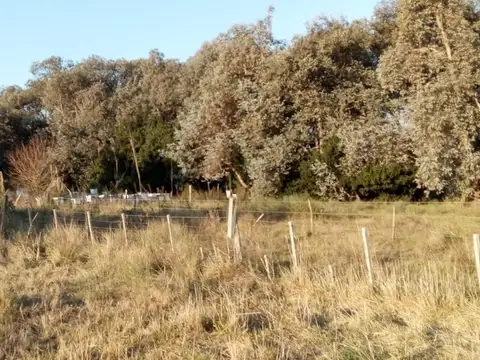 Terreno en Venta de 73285,0 m2