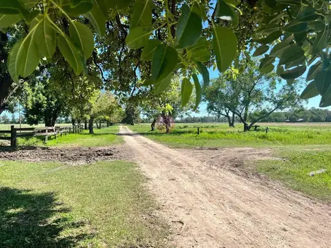 Terreno Campo  en Venta en Ruta 28, Pilar, G.B.A. Zona Norte
