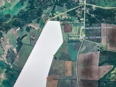 VENTA CAMPO AGRICOLA 235 HA EN GUALEGUAYCHU ENTRE RIOS