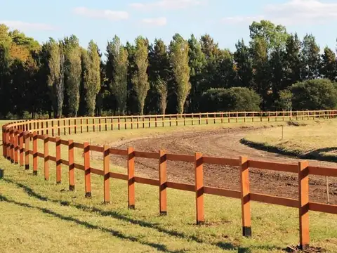 LOTE EN VENTA EN CARDALES