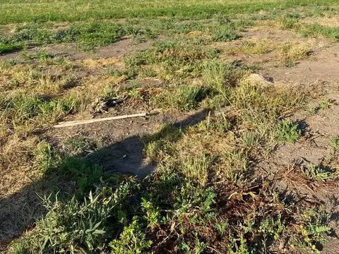 Terreno en Venta 10  mts Frente