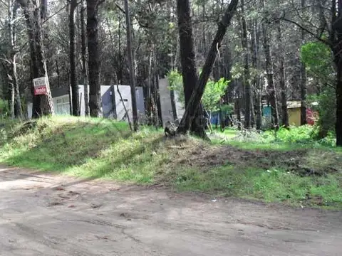 Terreno en Venta 10  mts Fondo