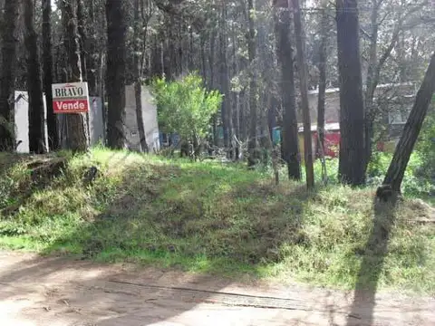 Calle 43 e/ Viña del Mar y Punta del 100