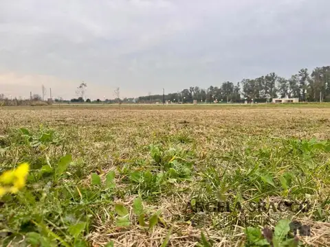 Ricardo Guiraldes, Fátima. 122