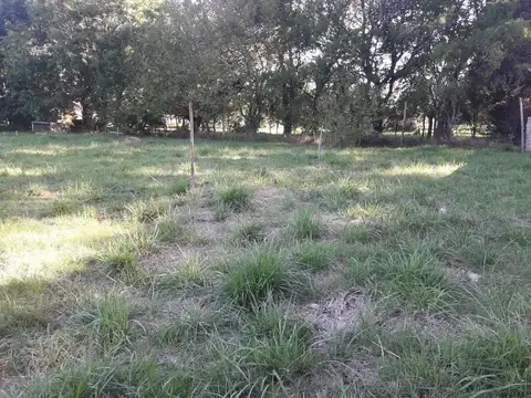 Ricardo Rojas y Pedro Quiroga