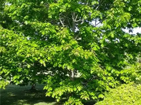 Estancia Benquerencia