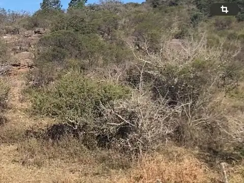 Terreno en Venta de 1824,0 m2