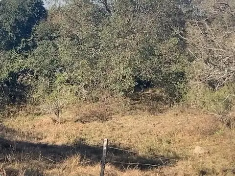 Terreno en Venta de 1824,0 m2