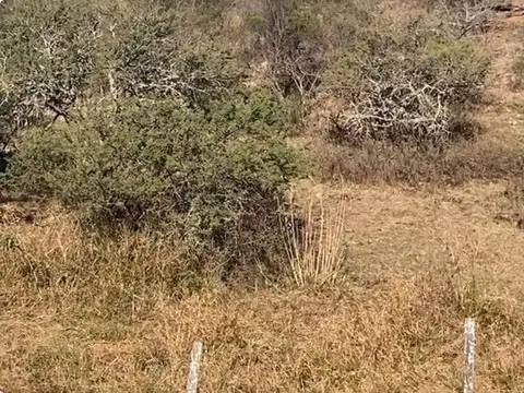 Terreno en Venta en Tanti, USD 13.500