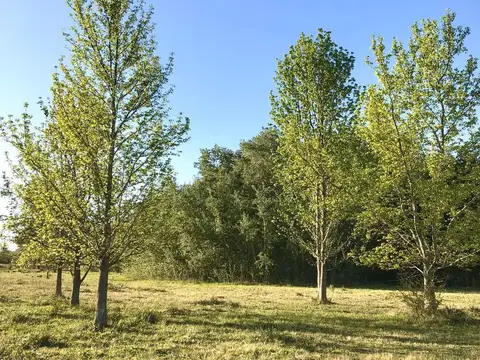 LOTE  FINANCIADO  Barrio El Paso, Del Viso