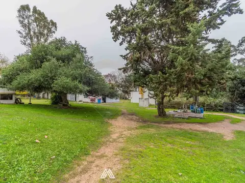 Local en Alquiler 42 años