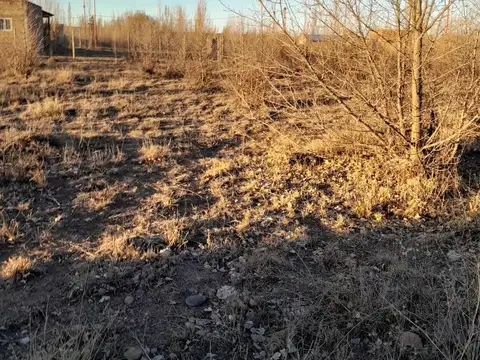 Loteo el Amanecer, Cinco Saltos.