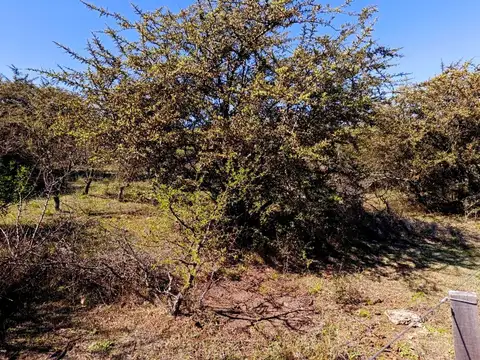 Terreno en Venta en La Falda, USD 17.700