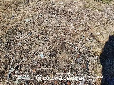 Terreno en Venta 61  mts Frente