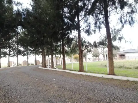 Campo en venta en Magdalena