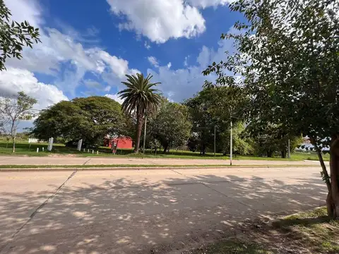 Avenida Argentina 700