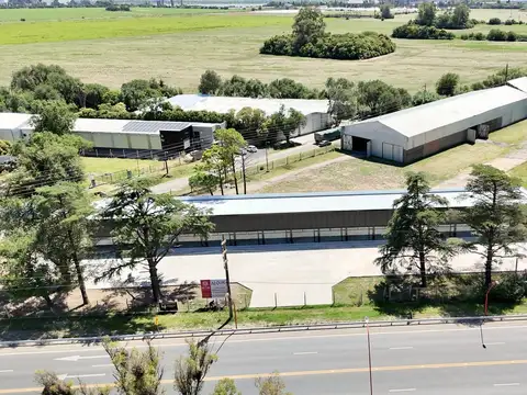 Local en Alquiler A Estrenar