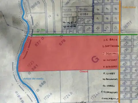 VENTA CAMPO EN SAN NICOLAS