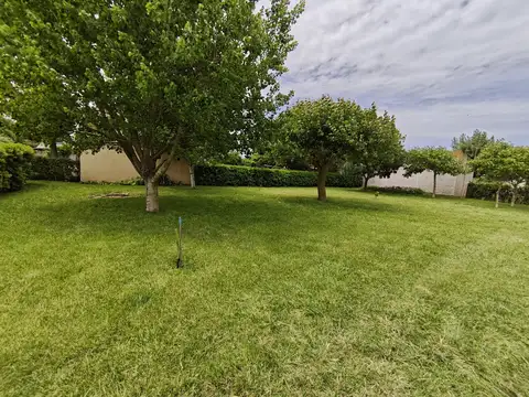 Terreno en Venta 10  mts Frente