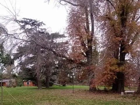 Campo en Venta de 12  ha