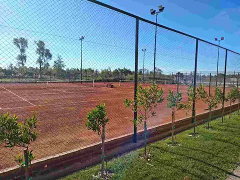 Avenida de los Lagos