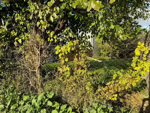 Terreno en Venta en Ituzaingo, USD 80.000