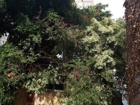 Ciudad De La Paz 2900, Piso 0