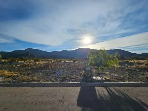 Los Cactus y El Golf Norte 100