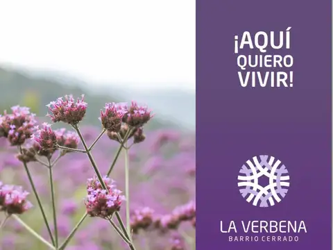 Exc. Lotes 600/700 M2 La Verbena Rta 51 Km 5