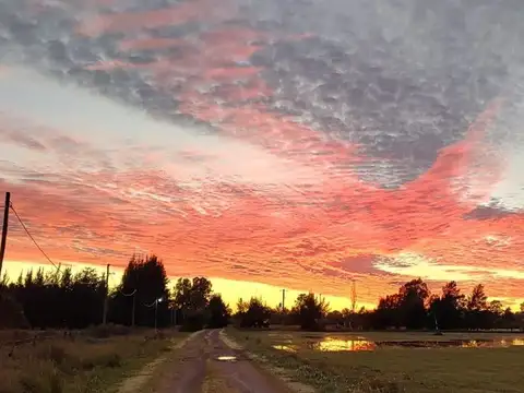 A Del Valle 1200-1500 Coronel Brandsen 1300