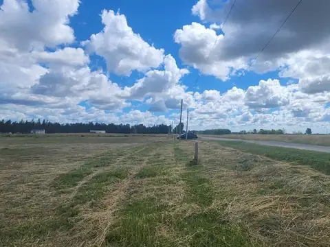 Terreno en Venta de 5000,0 m2