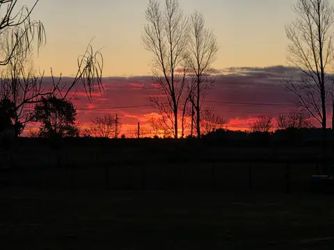 A Del Valle 1200-1500 Coronel Brandsen 1300