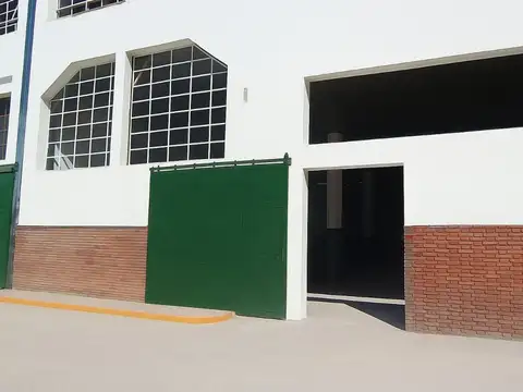 Martín Rodríguez 100