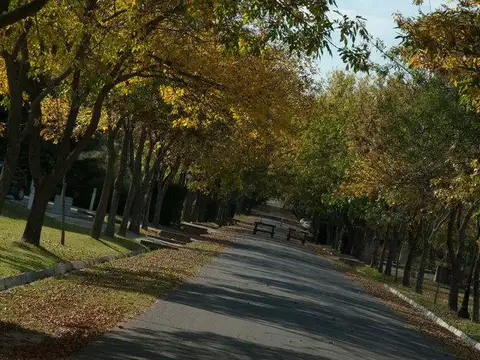 Terreno en Venta 40  mts Fondo