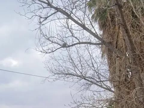 Terreno en Venta en Rodeo De La Cruz, USD 18.000