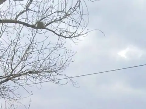 Terreno en Venta de 950,0 m2