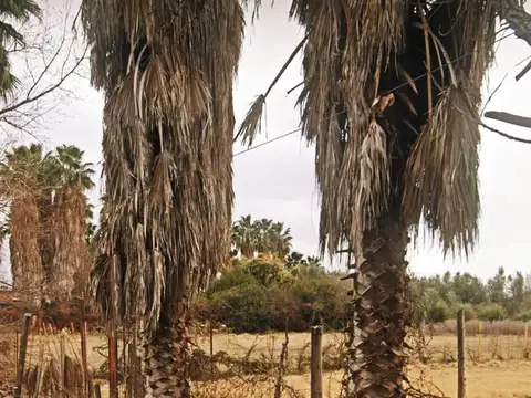 VENDE TERRENO INFANTA ISABEL GUAYMALLEN